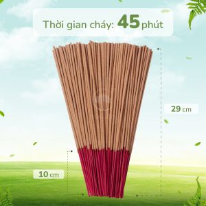 Nhang Quế Sạch Cao Cấp Mộc Lâm 29cm 500cây Nhang Đặc Biệt Ít Khói Ít Tàn Hương Thơm Thanh Dịu