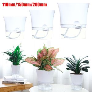ART SUPPLIESX Transparent Garden Supply Plastic Home Succulent Plant Pot Watering Planter Flower Pot Vase Self Watering Flowerpot