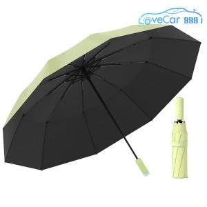 Compact Fully Automatic Windproof Umbrella 16 Bones Sun Rain Resistant Easy to Carry for Commuting