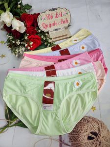 Combo 10 Quần Lót Nữ Cotton Nữ Hoa Cúc (226) Size 43 - 55 Kg Co Giản Thoáng Mát Thấm Hút Mồ Hôi  - Đồ Lót Quỳnh Anh