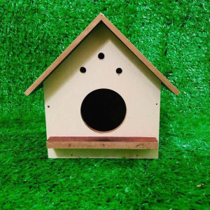 Tổ Chim Yến Phụng Sắc Nhật Bạc Má - Tổ Treo Trong Lồng Avi Lồng Nhỏ (2 Loại)