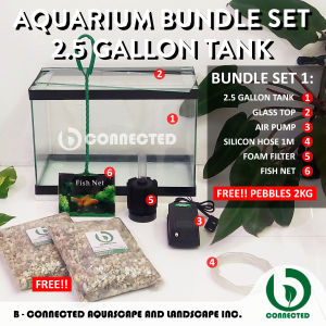 AQUARIUM BUNDLE SET 2.5 GALLON - FISH GLASS TANK COMPLETE SET WITH FREEBIES - AQUARIUM ACCESSORIES - BCONNECTED