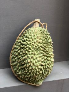 กระเป๋าสะพายทุเรียน ขนาดกลาง พร้อมสายสะพายเคลือบยางพาราทั้งเส้น งานHanmd รูปทรงสเหมือนจริง ไม่ซ้ําใคร