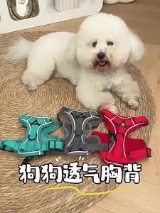 2026 Hot Sale [ Shipped from China ] Dog walking leash summer breathable dog harness chest harness for Bichon Frise and Teddy harness for small and medium-sized dogs dog collar B3