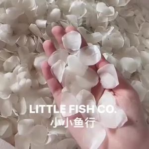 （1Kg_ B大鱼鳞片）纯天然优质鱼鳞片/大食甲鱼鳞片/Fish Scale / Sisik Ikan Siakap /Collagen 胶原蛋白