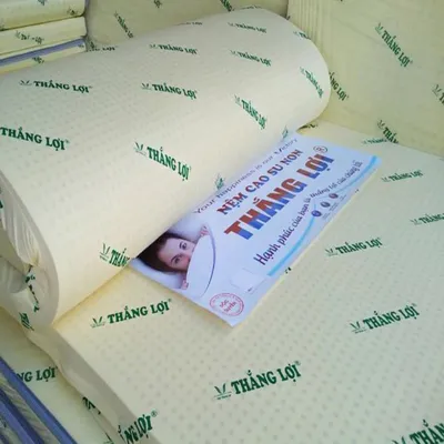 (FREE SHIP HCM ) Nệm Cao Su Non Thắng Lợi Thoáng Mát Đàn Hồi Cao Độ Bền Lâu