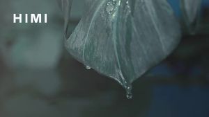 HIMI Miya Paint Brushes Set for Acrylic Watercolor Gouache Painting Fireworm Design with LEDLight for Artist Kids s