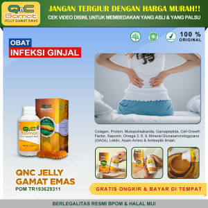 Obat Infeksi Ginjal Solusi Atasi Infeksi Ginjal Radang Ginjal Gagal Ginjal Akut Kronis Ginjal Bocor Batu Ginjal Infeksi Saluran Kemih Urine Berdarah dan Bernanah Urin Berbau Sakit Pinggang Nyeri Punggung Bawah Diare Sembelit dengan QNC GAMAT Teripang