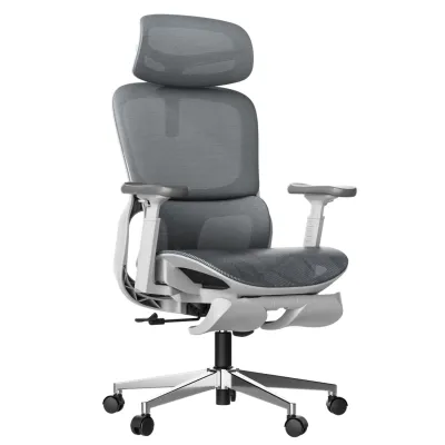 (Ready-Stock)Hbada P2 Ergonomic Office Chair (P2 Pro & P2 Ultra) -with Adjustable Lumbar Adjustable Headrest & Rotation Armrests | Mesh Gaming Chair