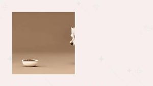 SentexinRecovery Collar Water-Resistant Soft Adjustable Cone After Surgery for Dogs and Cats Elizabethan Collar