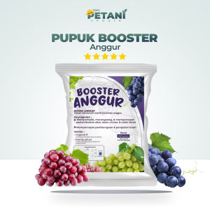 Pupuk Booster Anggur Cepat Berbuah AB Mix Anggur 250Gr 100 Liter Petani Update