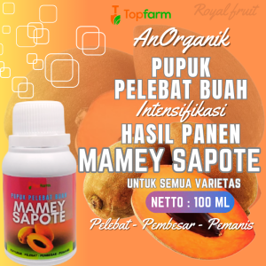 Pupuk Pelebat Buah / Pupuk Mamey Sapote / Pupuk Pembesar Buah Mamey Sapote / Pupuk Khusus Pohon Mamey Sapote / Pupuk Buah Buahn Langka