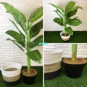 Pohon Artificial Tanaman Hias Sri Rejeki T130 Latex Cover Pot Seagrass Handle Dekorasi Cafe Aesthetic