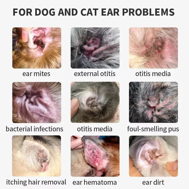 Bacterial Different Types Of Ear Infections In Dogs Dog Ear