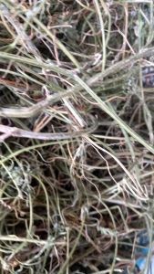 500g Dây - lá khổ qua rừng khô - Dây - lá khổ qua rừng khô