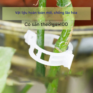 Bộ 100 Kẹp thân cây dây leo kẹp nhánh kẹp cố định cây trồng tái sử dụng được nhiều lần-CA666
