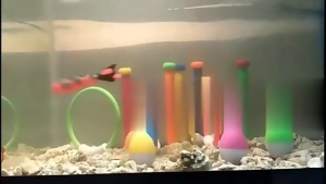 Underwater Kids Swim Thru Diving Rings Water Training Sports Pool Diving Swim Thru Door Toy for Kids Pool Toy Swim Hoop