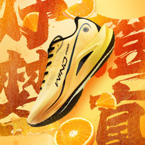 Qiaodan WIND 2.0 Pro Men Running Shoes Marathon Full Palm Carbon Plate Comfortable Cushioning BM23240298T