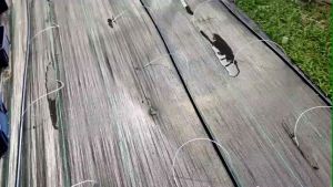 WEEDMAT /PENGHALANG RUMPUT TUMBUH