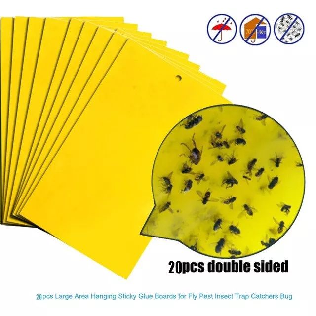 Sticky Insect Paper Large Medium Small 20PCS Double sided Paper Yellow Sticky Insect Killer ...