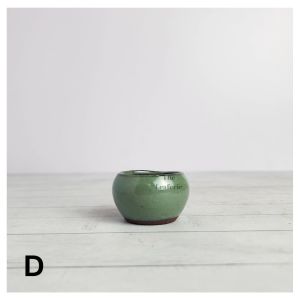 The Leaferie Petit Bonsai Pot (Series 8) plant pots. flowerpot . flowerpots . flower pot . planter .Succulent
