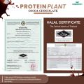 โปรตีน แพลนท์ จากพืช ออแกร์นิค 3 ชนิด รสโกโก้ ช็อกโกเล็ต (PROTEIN PLANT COCOA CHOCOLATE) โปรตีนจากข้าว ถั่วลันเตา และมันฝรั่ง จำนวน 1 กล่อง 7 ซอง 350 กรัม. 