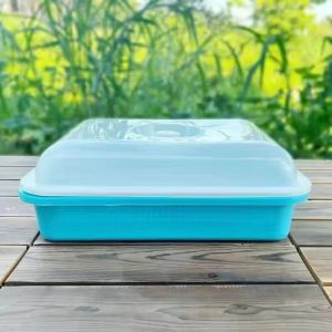 LZD  Sprouts Seedling Tray Direct Sales with Lid Moisturizing Encryption Grid Vegetable Bean Sprouts Planting Multi-Color Insulation Basin