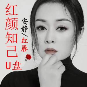 红颜知己安静歌曲U盘伤情情歌高音质车载u盘 USB音频优盘红唇两用
