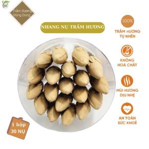 [Tặng Ngay Lư Xông Trầm Cao Cấp] Trầm hương nụ 100% thiên nhiên Hút Tài Lộc - viên trầm nụ búp sen - Trầm Hương Hùng Dung