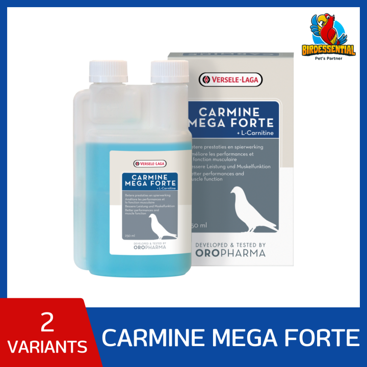 l carnitine lazada Versele Laga Carmine Mega Forte + L-Carnitine for Birds Pigeons Birds Pigeons Liquid Supplement Belgium Origin All Life Stage Improved Performance Less Lactic Acid Build-Up - glutathone beauty milk BPC-157 5mg vs. 10mg: Size:Starter Pack (60 Capsules)