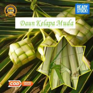 obral jual daun kelapa muda segarbahan ketupat lebaranjanur.50 lembar