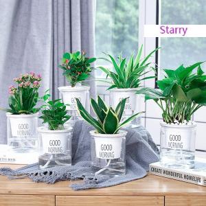 Starry Transparent Flower Pot Self-Watering Plant Flower Pot Home Garden Decoration