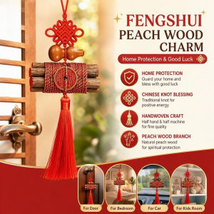 Fengshui Peach Wood Charm Home Protection Amulet Chinese Knot Tassel Colorful Amulet