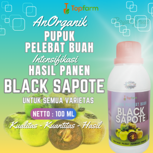 Pupuk Black Sapote / Pupuk Khusus Buah Black Sapote / Pupuk Pelebat Buah Buahan / Pupuk Buah Sawo Hitam / Pupuk Pembesar Buah Black Sapote