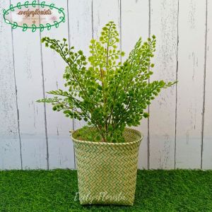 Tanaman Hias Plastik Daun Tapak Pari X1 Latex Artificial Pot Dasar Hitam Cover Anyaman Purun Sintetis Hijau Muda Dekorasi Ruang Tamu Aesthetic