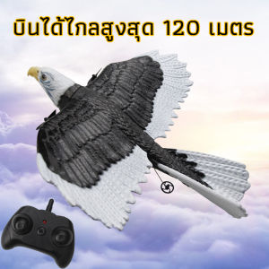 RC เครื่องบิน Wingspan Eagle เครื่องบิน Fighter 2.4G วิทยุควบคุมรีโมทคอนโทรล เครื่องร่อนเครื่องบินโฟมของเล่นเด็กสําหรับเด็ก