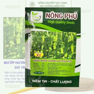 Hạt Giống Mướp Hương F1 TESLA 39 Gói 100 Hạt – Thơm Ngon Cây Khỏe Sai Trái Dễ Trồng