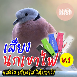 เมมเสียงนกเขาไฟ V1 แฟลชไดร์ฟเสียงต่อนกเขาไฟ V1 มีเก็บเงินปลายทาง