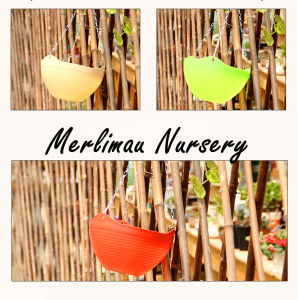 [Merlimau Nursery] Balcony Chain Hanging Planters Flower Pot Basket
