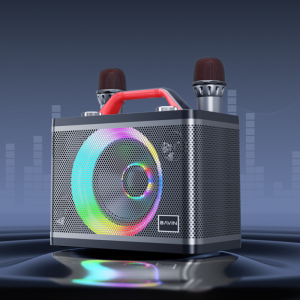 BAVIN BM10 Bluetooth Speaker with Mic Wireless Bluetooth Dual Microphone Karaoke Duet Speaker 3D Stereo Amplifier Party