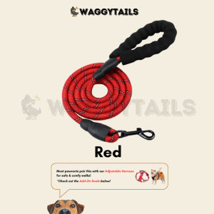 [SG] Strong Dog Leash Rope Reflective Tangle Free with Comfortable Padded Handle