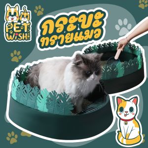 Pet Wish กระบะทรายแมว มี 2 ขนาด ป้องกันทรายกระเด็น 3สี