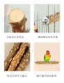 [SG STOCK] Parrot prickly ash wood stand pole claw sharpening stick branch stand stick. 