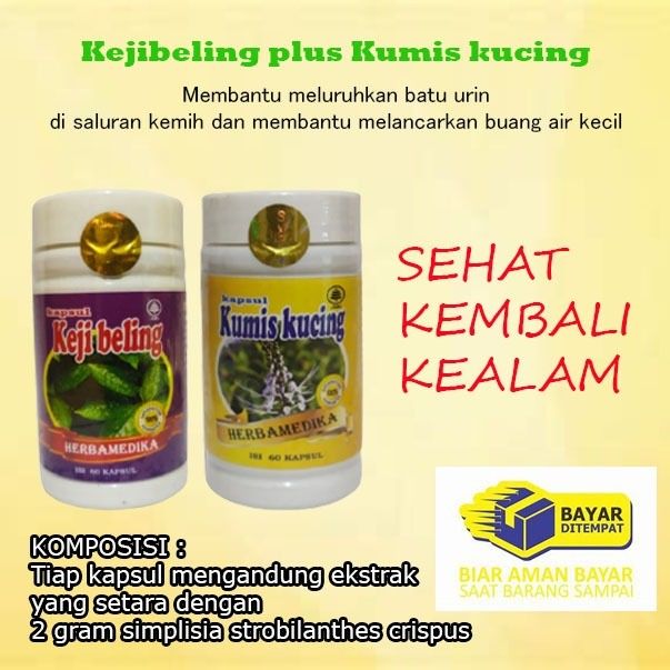 Keji Beling dan Kumis Kucing Herbamedika Obat Batu Ginjal Kencing Batu