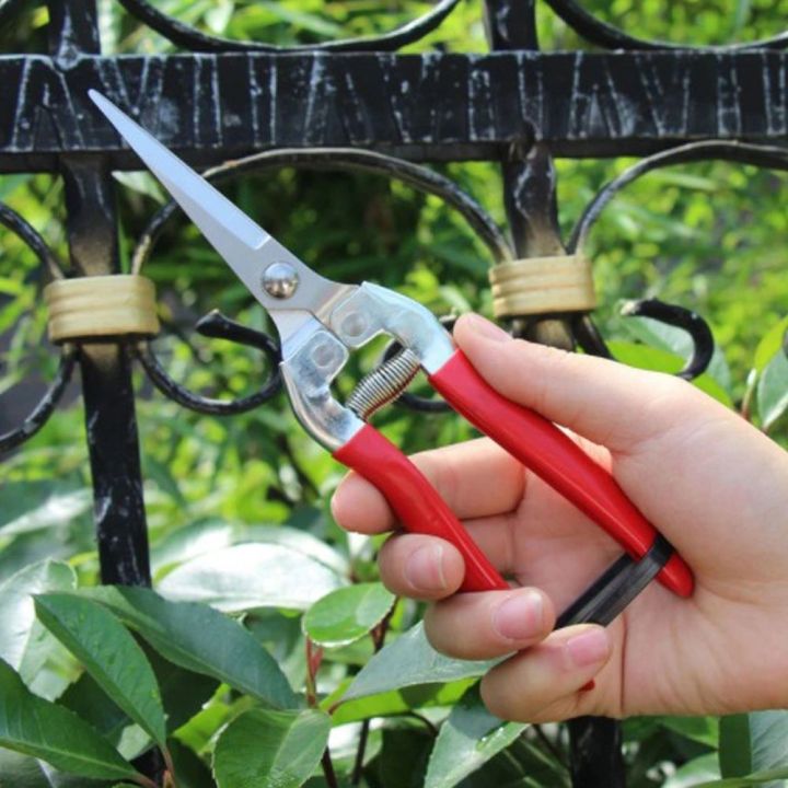 Beauty Creatives Plant Pruning Scissors Garden Cutter Flower Branch ...