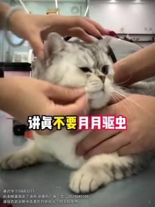 派迪诺狗狗驱虫药犬用体内外一体同驱除跳蚤蜱虫耳螨宠物体外滴剂Paidino dog deworming drug is an in vitro and in vivo solution for dogs which can effectively repel fleas ticks mites and pet droppings