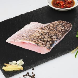 Song Fish Fresh Barramundi (Seabass) Fillet Fresh Seafood