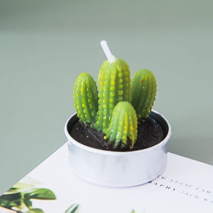 【1-3 Day delivery】 6PCS/ Set Simulated Cactus Shape Candle Plant Set For Home Party Wedding Decoration Candle Tea Light Decor For Gifts