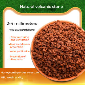 2.5KG Black Lava Rock 2-20mm Horticultural Volcanic Rock Soil For Garden Decorative Landscaping Bonsai Cacti Succulents Plants Top Dressing Fish Tank Decor