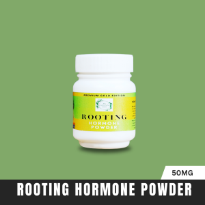 RAPID GROWTH ROOTING POWDER (mabilis mag pa ugat  pampaugat  plant fertilizer plant rooting organic rooting)